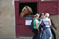 Frankreich_20100917_142438