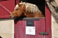 Frankreich_20100917_142518