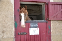 Frankreich_20100917_142735