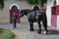 Frankreich_20100917_142934