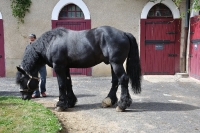 Frankreich_20100917_142949