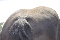 Frankreich_20100917_143030