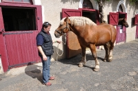 Frankreich_20100917_143315
