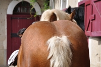 Frankreich_20100917_143337