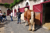 Frankreich_20100917_143356