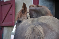 Frankreich_20100917_143609