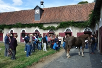 Frankreich_20100917_143647