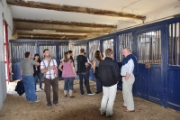 Frankreich_20100917_150647