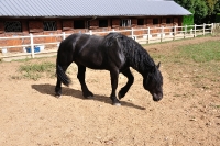 Frankreich_20100917_154633