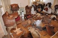 Frankreich_20100918_104924