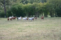 Frankreich_20100918_142530