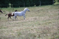 Frankreich_20100918_142546