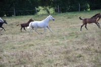 Frankreich_20100918_142550