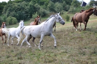 Frankreich_20100918_142614