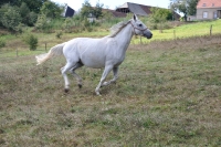 Frankreich_20100918_142622