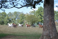 Frankreich_20100918_142626