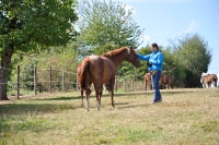 Frankreich_20100918_142822