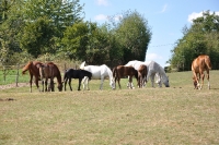 Frankreich_20100918_142908