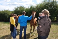 Frankreich_20100918_142920