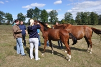 Frankreich_20100918_142936