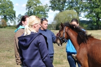 Frankreich_20100918_142940