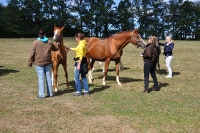 Frankreich_20100918_143030