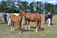 Frankreich_20100918_143102