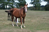 Frankreich_20100918_143124