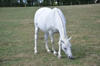 Frankreich_20100918_143144
