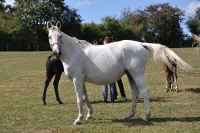 Frankreich_20100918_143218