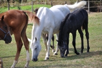 Frankreich_20100918_143250