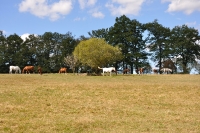 Frankreich_20100918_150112