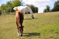 Frankreich_20100918_150412