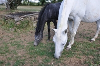 Frankreich_20100918_151224