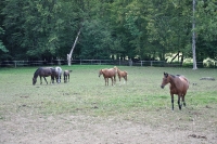 Frankreich_20100918_153856