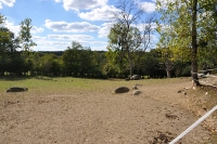 Frankreich_20100918_154748