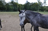 Frankreich_20100918_155032