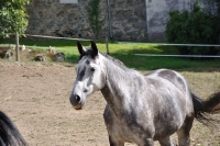 Frankreich_20100918_155446