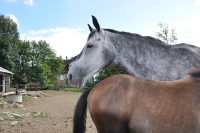 Frankreich_20100918_155654