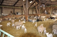 Frankreich_20100916_133754