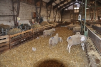 Frankreich_20100916_133906