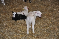 Frankreich_20100916_134303