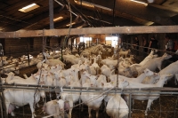 Frankreich_20100916_135146