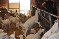 Frankreich_20100916_135157