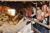 Frankreich_20100916_135204