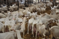 Frankreich_20100916_135310