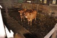 Frankreich_20100916_135847