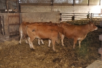 Frankreich_20100916_140000