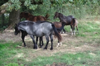 Frankreich_20100916_140542