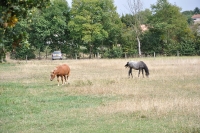Frankreich_20100916_140549